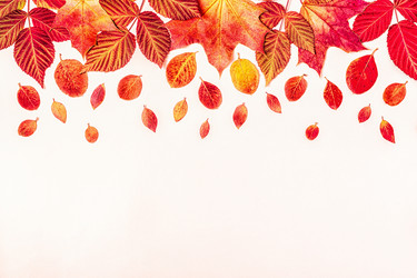 Similar image 21438062