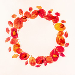 Similar image 21438064