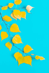 Similar image 21438377