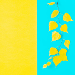 Similar image 21438379