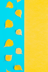 Similar image 21438383