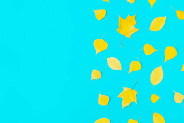 Similar image 21438387