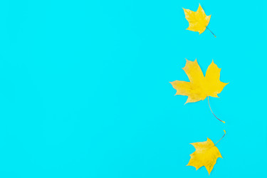 Similar image 21438391