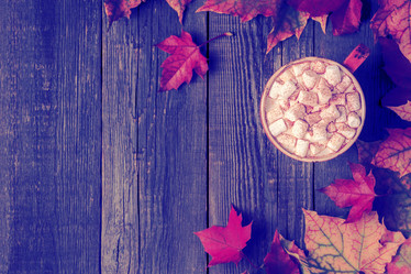 Similar image 21438392