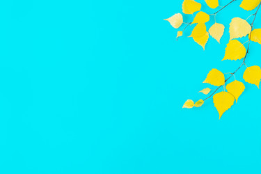 Similar image 21438395