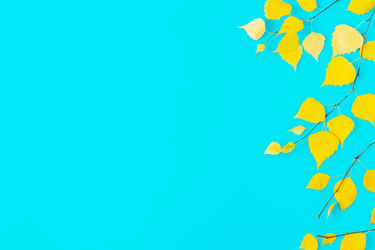 Similar image 21438398