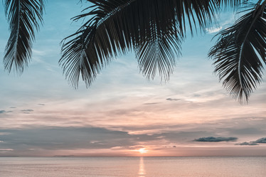 Similar image 21438399