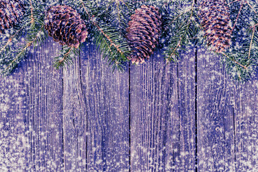 Similar image 21438404