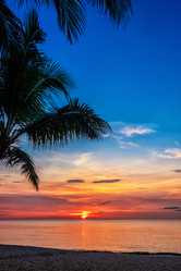 Similar image 21438413