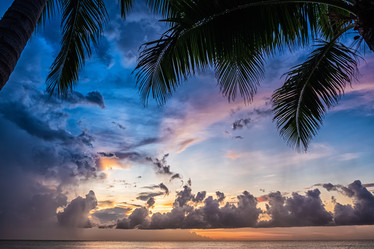 Similar image 21438455