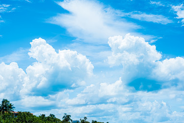 Similar image 21438459