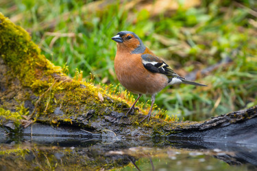 Similar image 21442316