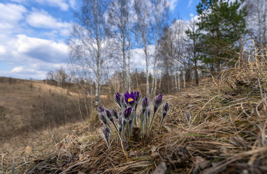 Similar image 21442317