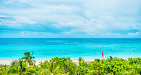 Similar image 21438480