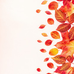 Similar image 21439855