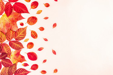 Similar image 21439864