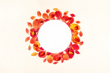 Similar image 21439866