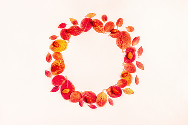 Similar image 21439868