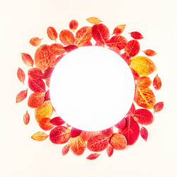 Similar image 21439870