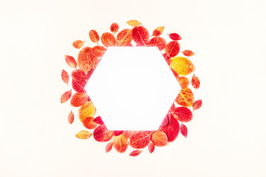 Similar image 21439872