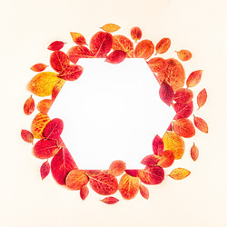 Similar image 21439874