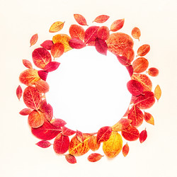 Similar image 21438065