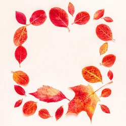 Similar image 21438485