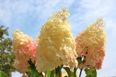 Similar image 21439904