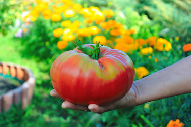 Similar image 21439905