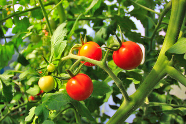 Similar image 21439911