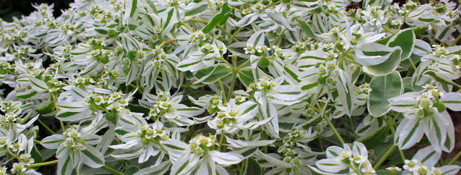 Similar image 21439913