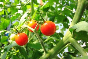 Similar image 21439915