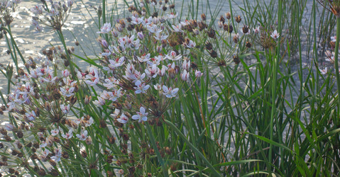 Similar image 21439916