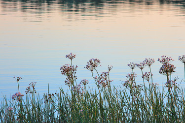 Similar image 21439921