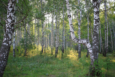 Similar image 21439932