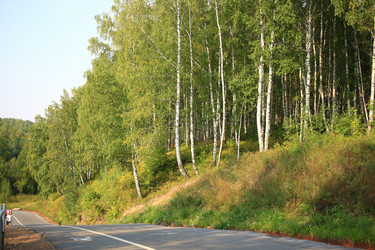 Similar image 21439935