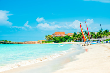 Similar image 21439503