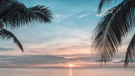 Similar image 21439991