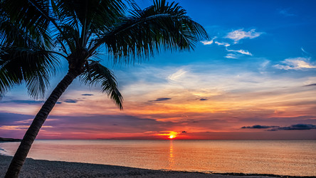 Similar image 21439993