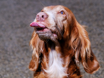 Similar image 21440014