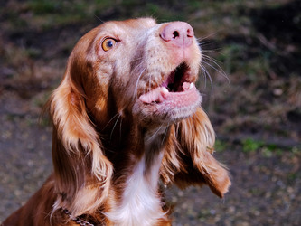 Similar image 21440015