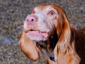 Similar image 21440016