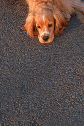 Similar image 21440017