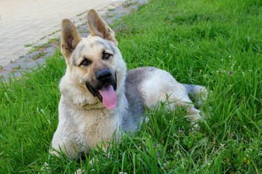 Similar image 21440022