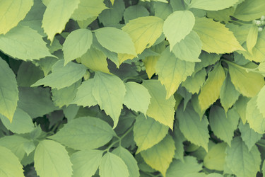 Similar image 21440025