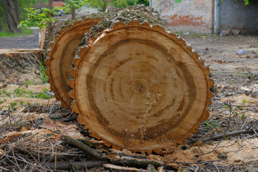 Similar image 21440028