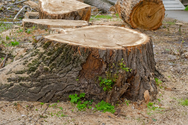 Similar image 21440030