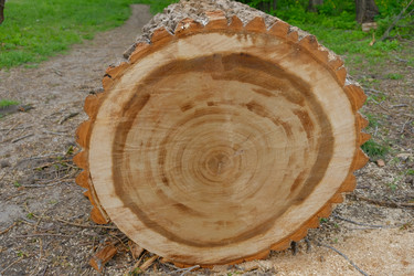 Similar image 21440031