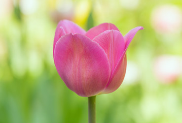 Similar image 21441412