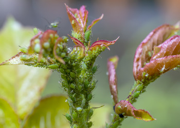 Similar image 21441592